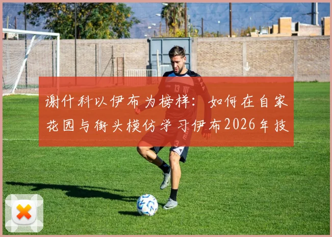谢什科以伊布为榜样:如何在自家花园与街头模仿学习伊布2026年技术动作