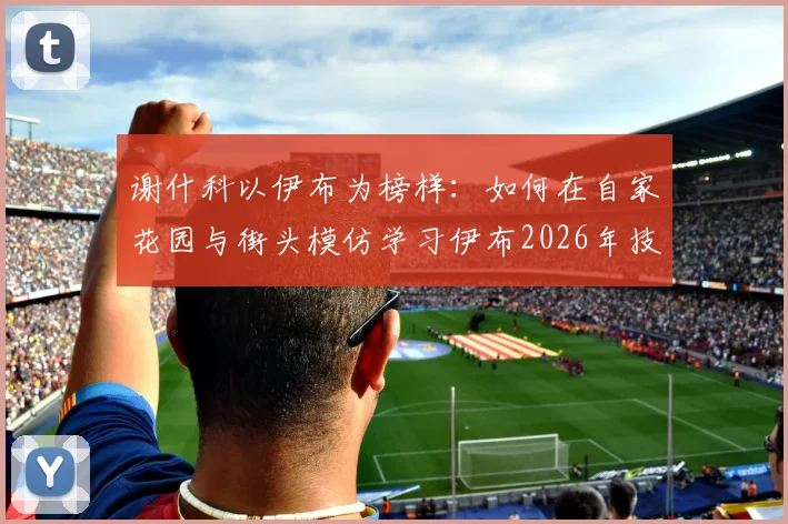 谢什科以伊布为榜样：如何在自家花园与街头模仿学习伊布2026年技术动作