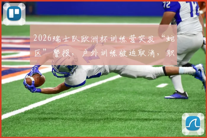 2026瑞士队欧洲杯训练营突发“蛇区”警报，户外训练被迫取消，职业球队如何应对野外安全风险？